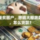 我家是贫困户，想搞大棚蔬菜种植，怎么贷款？