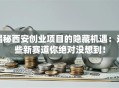 揭秘西安创业项目的隐藏机遇：这些新赛道你绝对没想到！