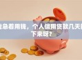 我急着用钱，个人信用贷款几天能下来呀？