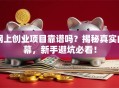 网上创业项目靠谱吗？揭秘真实内幕，新手避坑必看！