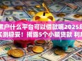 黑户什么平台可以借款呢2025年实测稳妥！揭露5个小额贷款 利息最低