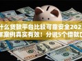 什么贷款平台比较可靠安全2025年案例真实有效！分说5个借款口子安全可靠软件