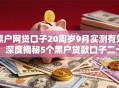 黑户网贷口子20周岁9月实测有效!深度揭秘5个黑户贷款口子二十岁能用 黑户网贷口子20周岁9月实测有效!深度揭秘5个黑户贷款口子二十岁能用