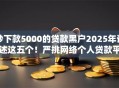 秒下款5000的贷款黑户2025年详述这五个！严挑网络个人贷款平台