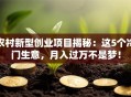农村新型创业项目揭秘：这5个冷门生意，月入过万不是梦！