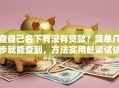 查自己名下有没有贷款？简单几步就能查到，方法实用赶紧试试