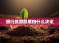 银行贷款额度由什么决定
