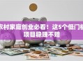 农村家庭创业必看！这5个低门槛项目稳赚不赔