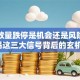 股票放量跌停是机会还是风险？警惕这三大信号背后的玄机！