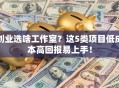 创业选啥工作室？这5类项目低成本高回报易上手！
