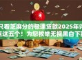 只看芝麻分的极速贷款2025年评点这五个！为您枚举无视黑白下款新口子
