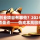 新兴创业项目有哪些？2025年最火赛道盘点——低成本高回报，新手也能轻松入局！