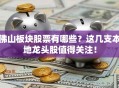 佛山板块股票有哪些？这几支本地龙头股值得关注！