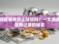 贷款被拒会上征信吗？一文说透信用记录的秘密