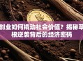 创业如何撬动社会价值？揭秘草根逆袭背后的经济密码
