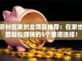 农村在家创业项目推荐：在家也能轻松赚钱的5个靠谱选择！