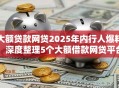 大额贷款网贷2025年内行人爆料！深度整理5个大额借款网贷平台很多
