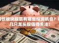 餐饮板块股票有哪些投资机会？这几只龙头股值得关注！