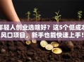 年轻人创业选啥好？这5个低成本风口项目，新手也能快速上手！