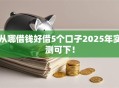 从哪借钱好借5个口子2025年实测可下！