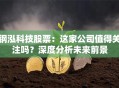 钢泓科技股票：这家公司值得关注吗？深度分析未来前景