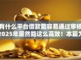 有什么平台借款能容易通过审核2025年居然能这么高效！本篇为您精心阐释！