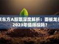 京东方A股票深度解析：面板龙头2023年值得投吗？