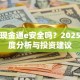 南方现金通e安全吗？2025年深度分析与投资建议