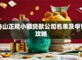 舟山正规小额贷款公司名单及申请攻略