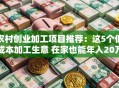 农村创业加工项目推荐：这5个低成本加工生意 在家也能年入20万