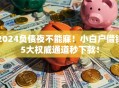 2024负债夜不能寐！小白户借钱5大权威通道秒下款！