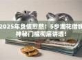 2025年负债煎熬！5步淘花借钱神秘门槛彻底讲透！
