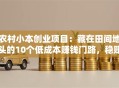 农村小本创业项目：藏在田间地头的10个低成本赚钱门路，稳赚不赔！