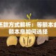 贷款还款方式解析：等额本金与等额本息如何选择