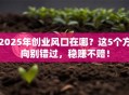 2025年创业风口在哪？这5个方向别错过，稳赚不赔！