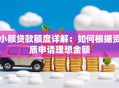 小额贷款额度详解：如何根据资质申请理想金额
