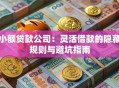 小额贷款公司：灵活借款的隐藏规则与避坑指南