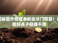 揭秘国外低成本创业冷门项目！这些好点子稳赚不赔