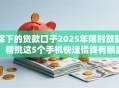 保下的贷款口子2025年限时放款！精挑这5个手机快速借钱有额度证明
