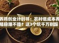 养鸡创业计划书：农村低成本养殖稳赚不赔？这3个坑千万别踩！