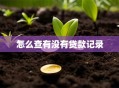 怎么查有没有贷款记录