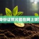 只有身份证照片能在网上贷款吗？