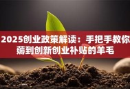 2025创业政策解读：手把手教你薅到创新创业补贴的羊毛