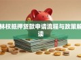 林权抵押贷款申请流程与政策解读