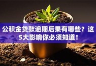 公积金贷款逾期后果有哪些？这5大影响你必须知道！