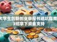 大学生创新创业申报书避坑指南：3招拿下资金支持