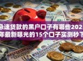 急速贷款的黑户口子有哪些2025年最新曝光的15个口子实测秒下款！