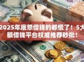 2025年底想借钱的都慌了！5大额借钱平台权威推荐秒批！