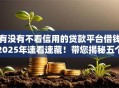 有没有不看信用的贷款平台借钱2025年速看速藏！带您揭秘五个不看信用的网贷口子借钱