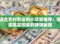 适合农村创业的小项目推荐：低成本高回报的赚钱秘籍